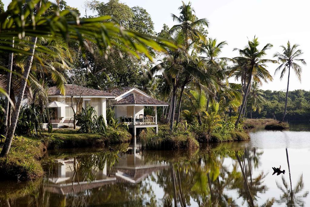 Duwa Villas Ahangama Rum bild