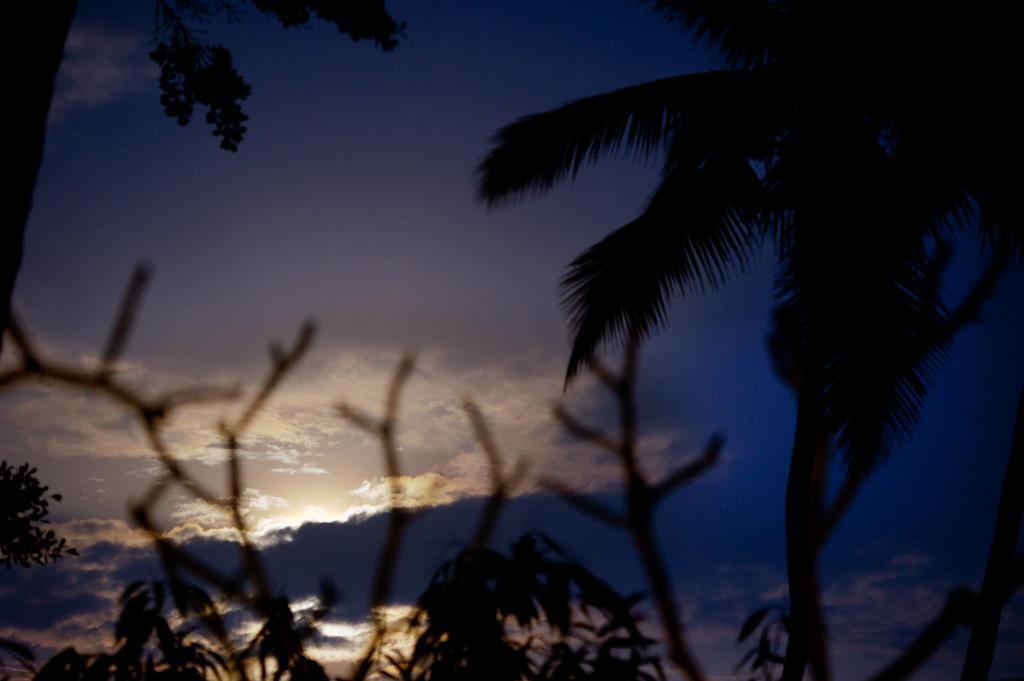 Duwa Villas Ahangama Rum bild